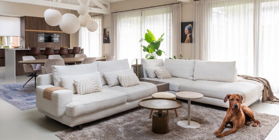 the-art-of-living The art of living